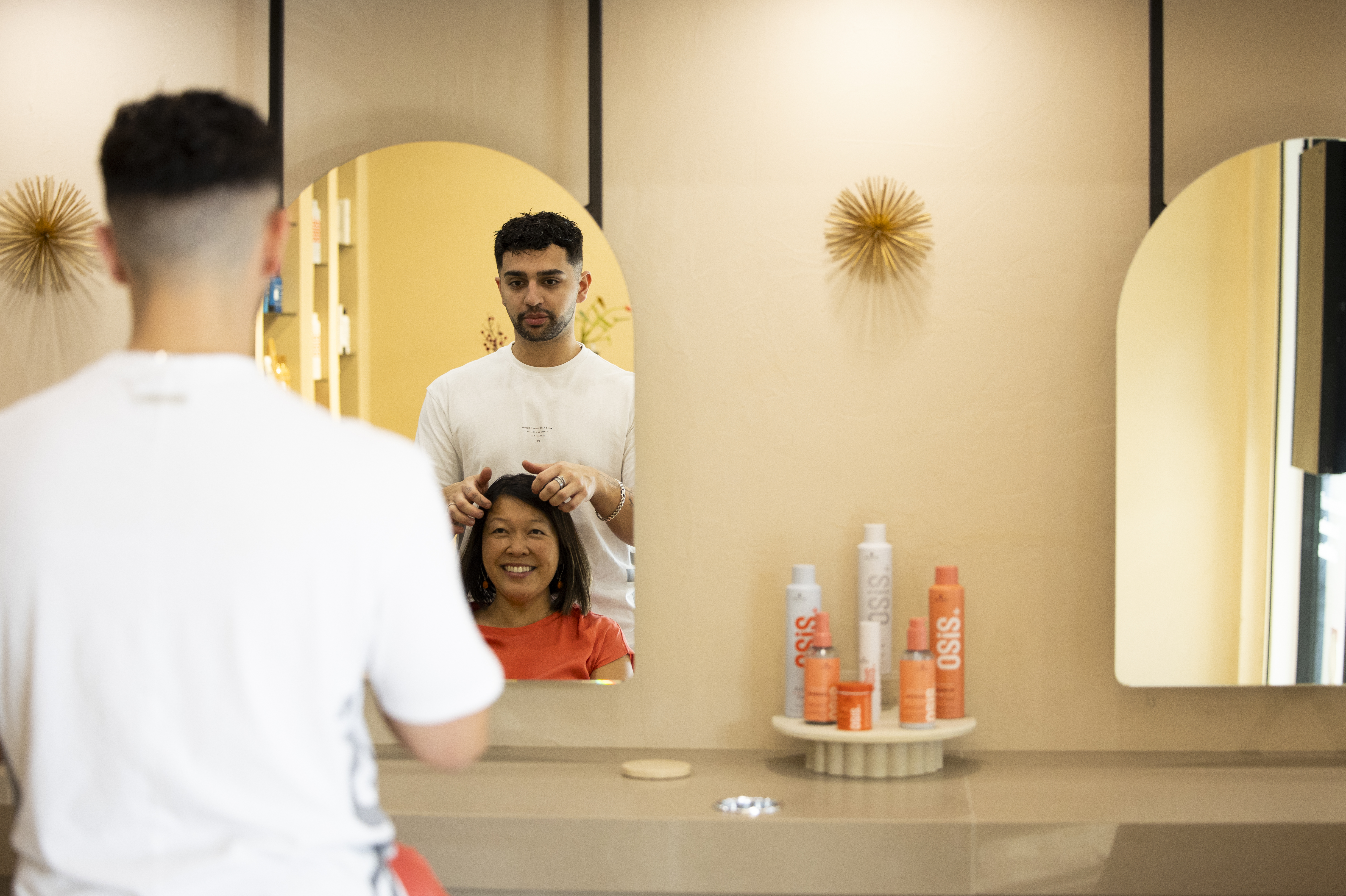 Virtual colour consultation preview